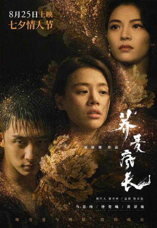 洪德罗斯学院文凭